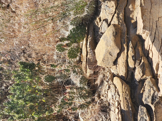 The Little Book Cliffs Wild Horse Area-大章克申必去景点