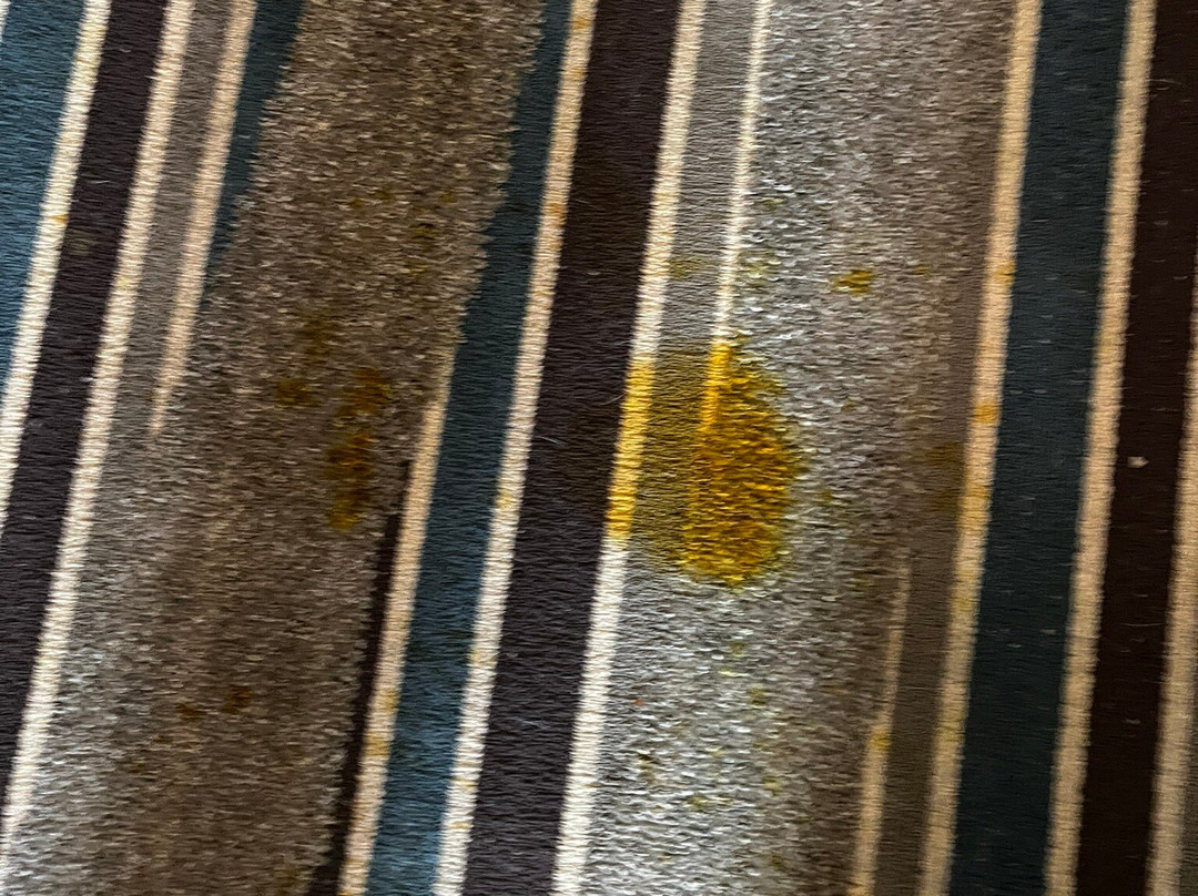 Super 8 by Wyndham Kearney主图