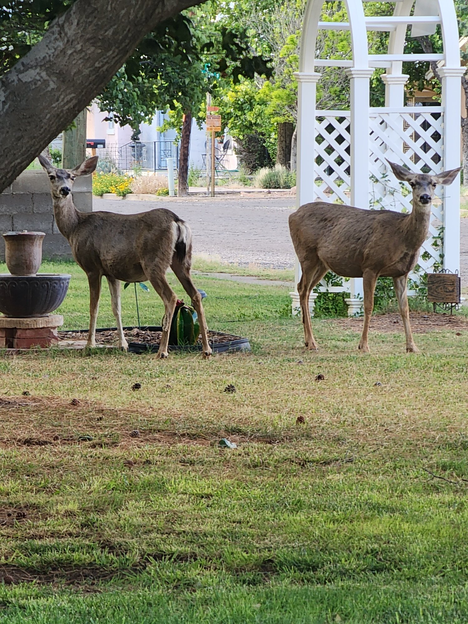 Alpine Bed and Breakfast-浴室
