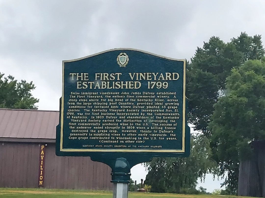 First Vineyard景点图片