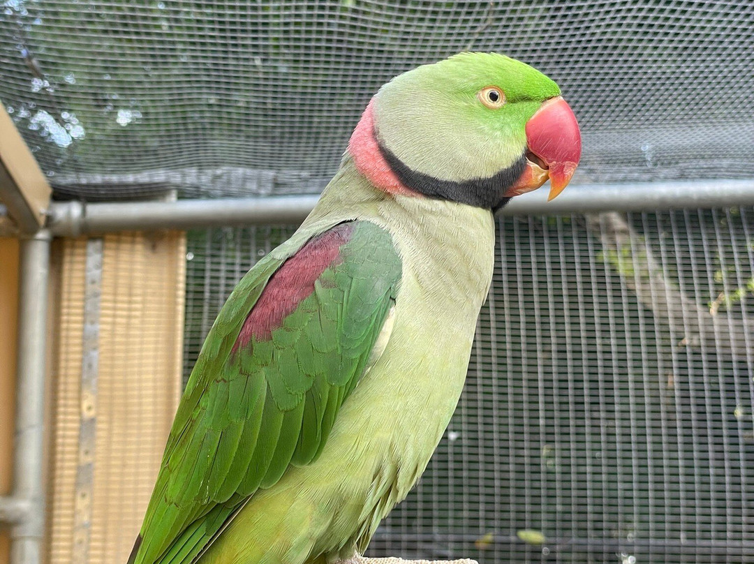 Bunbury Wildlife Park-班伯利必去景点
