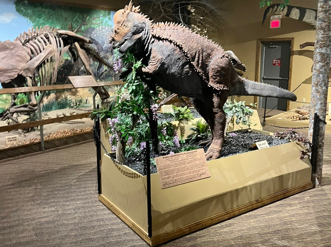 Glendive Dinosaur & Fossil Museum-Glendive必去景点