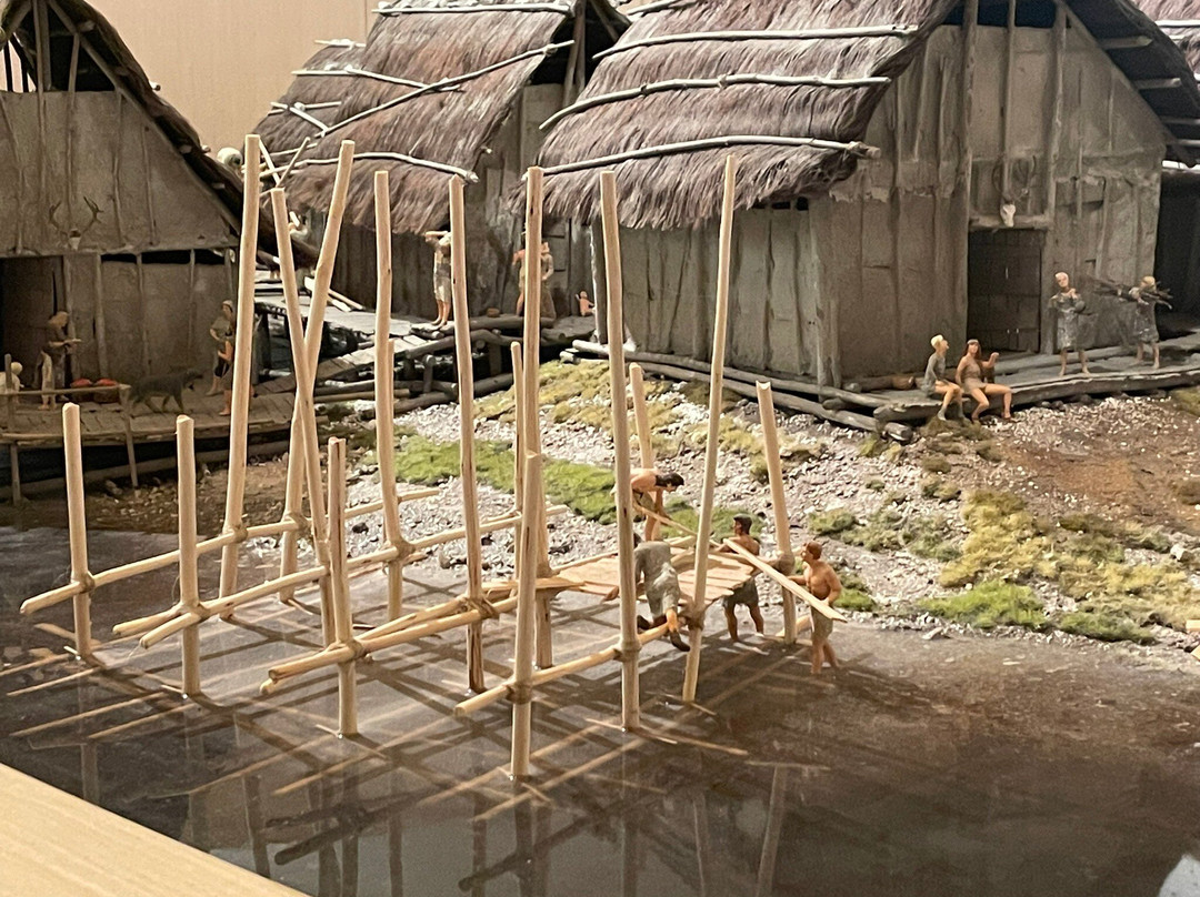 Museo delle Palafitte di Fiavé景点图片