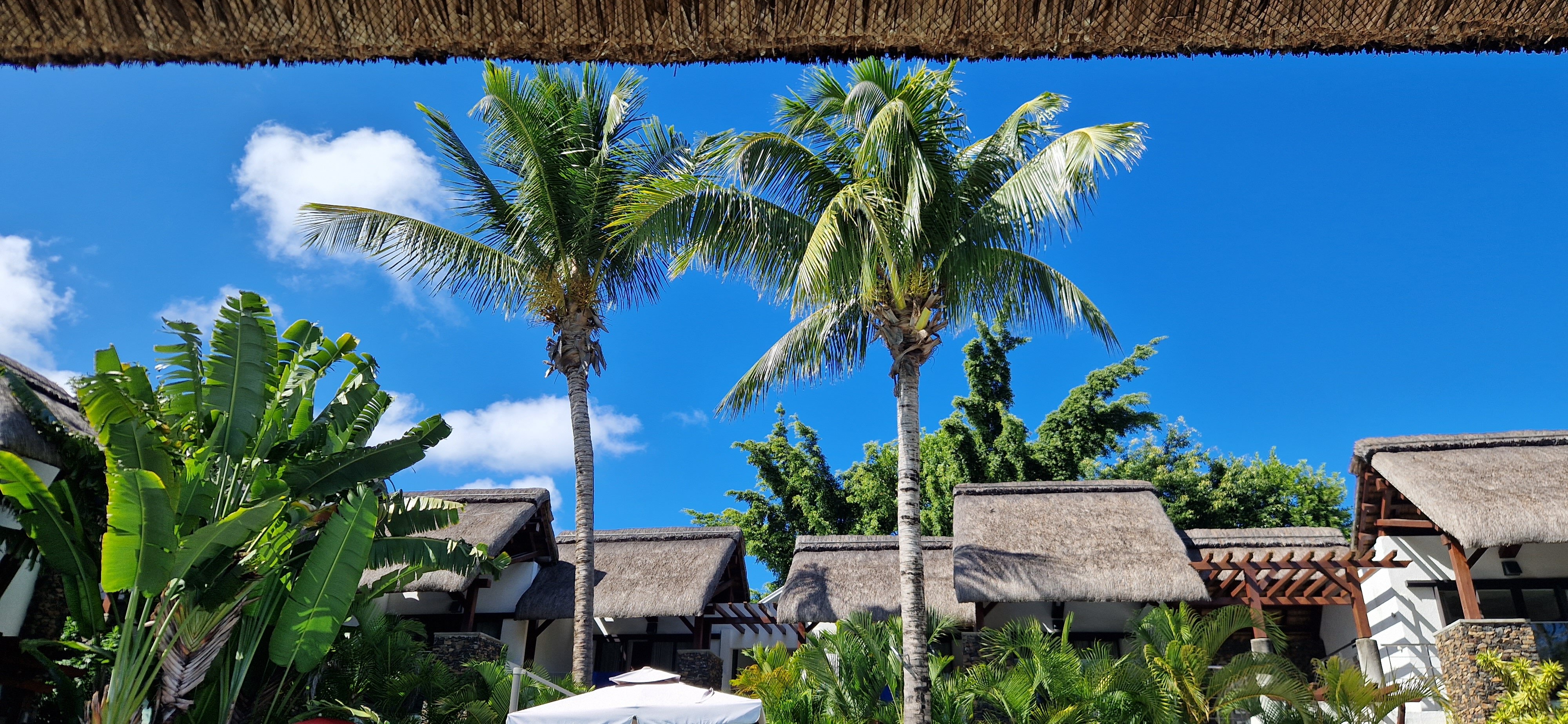 Toparadis guest house & restaurant-泳池
