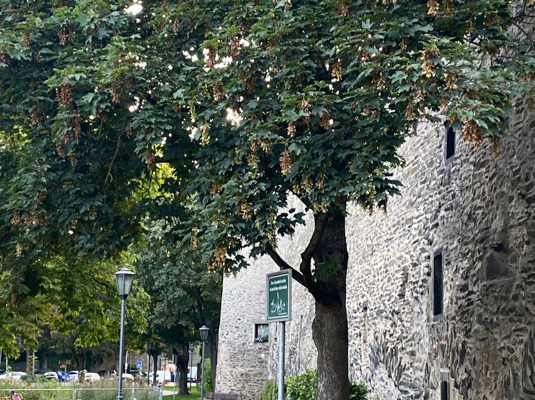 City Wall and Fortifications Andernach景点图片
