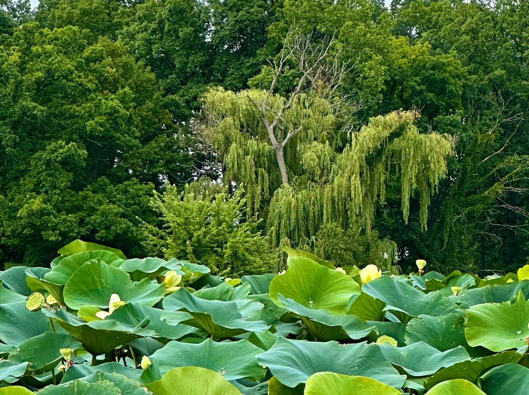 Lake Erie Adventure Company-Huron必去景点