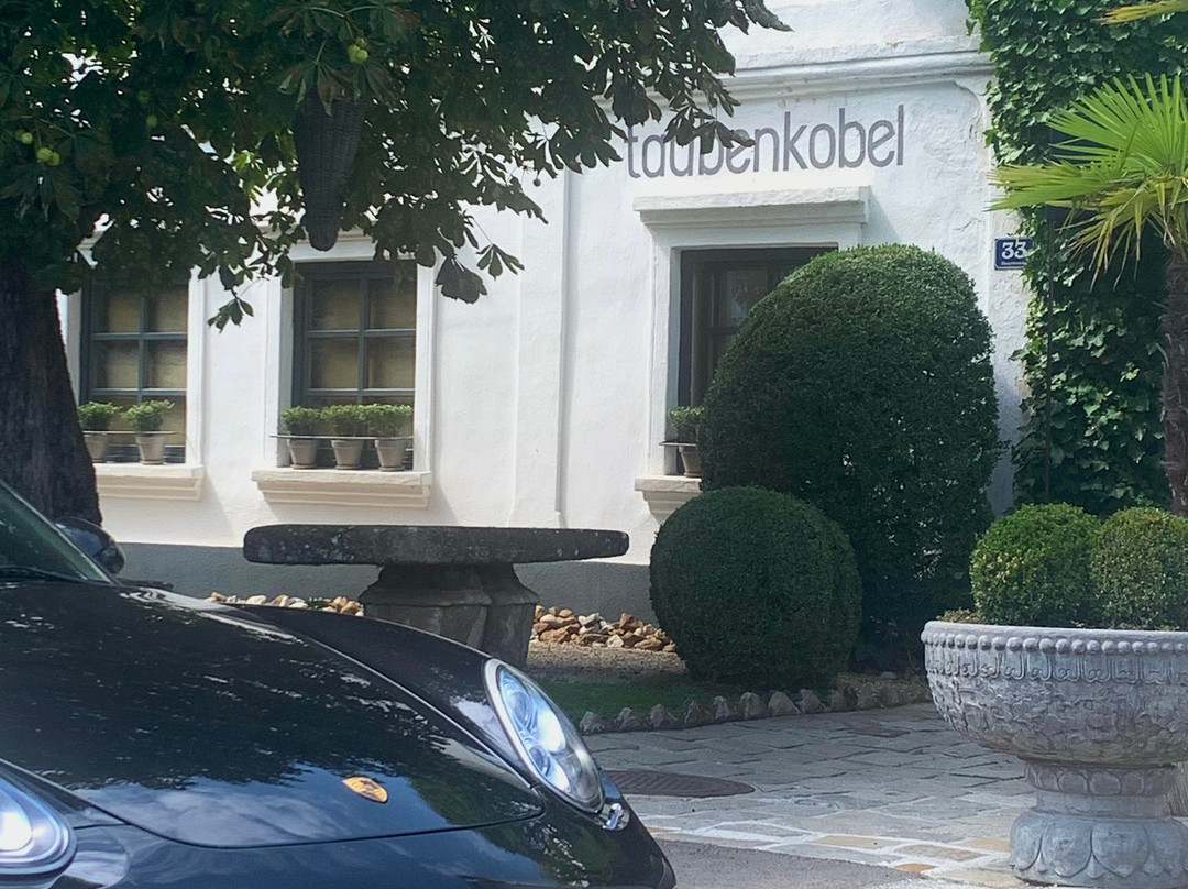 Taubenkobel Hotel主图