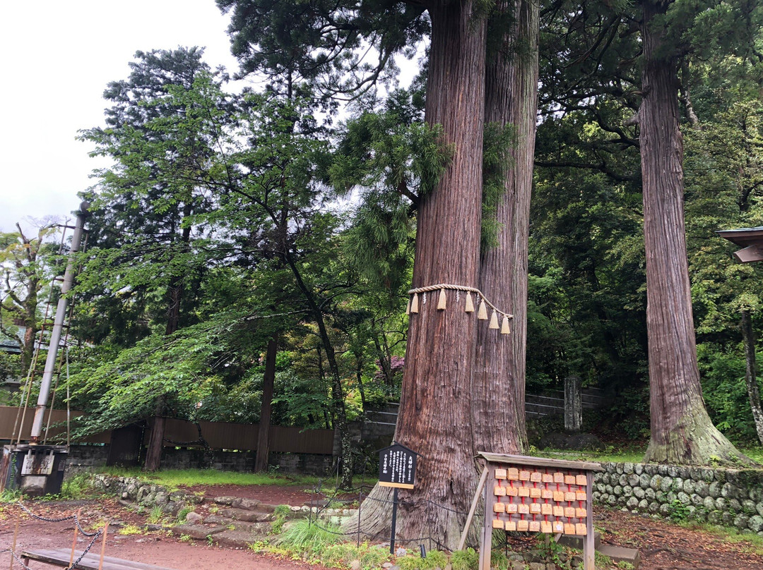 Hie Shrine-伊豆市必去景点