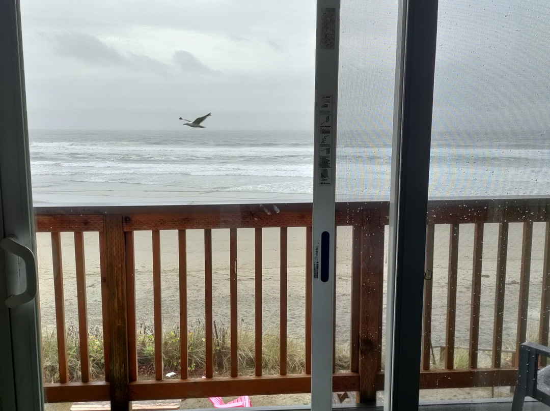 Tradewinds Motel主图