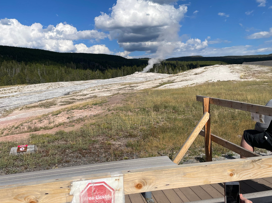 Wild Things of Wyoming-提顿村必去景点