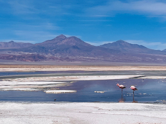 Layana Travel-圣佩德罗-德阿塔卡马必去景点