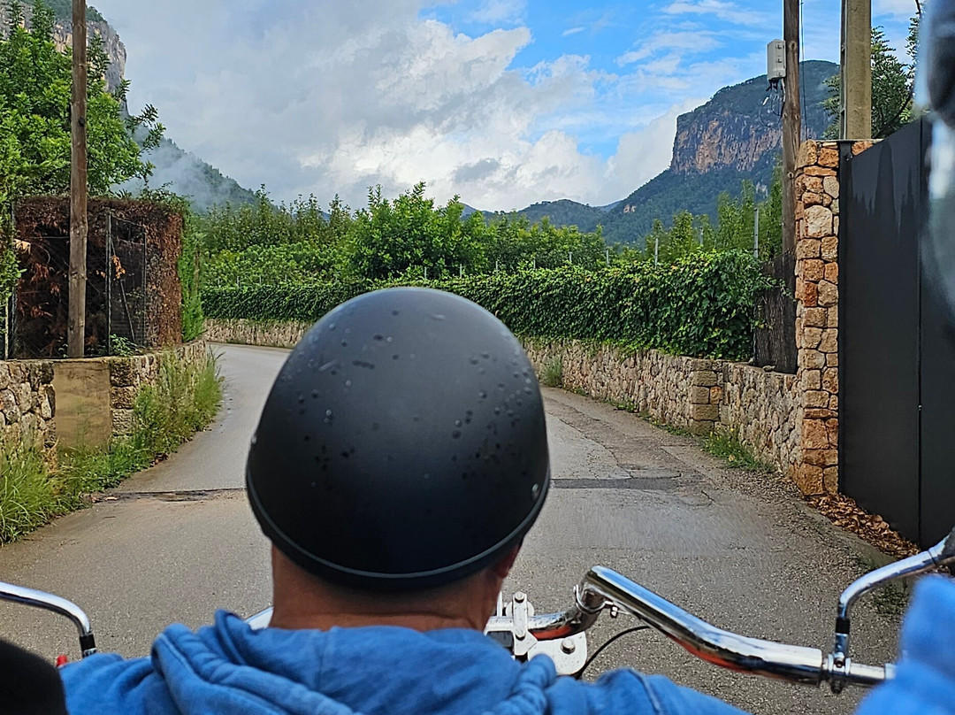 Trike Fun Mallorca景点图片