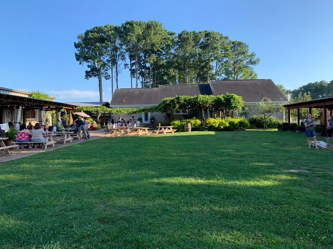 Jules J. Berta Vineyards & Pizza-阿尔贝维尔必去景点