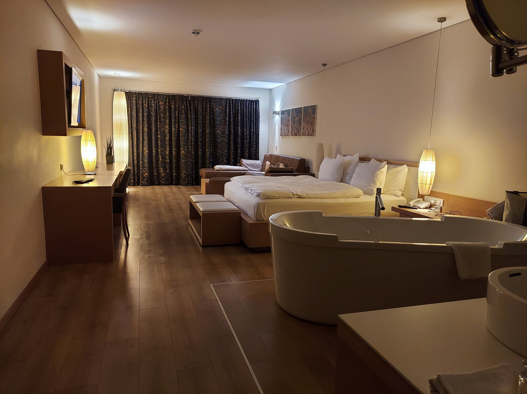 Hotel Lanerhof主图