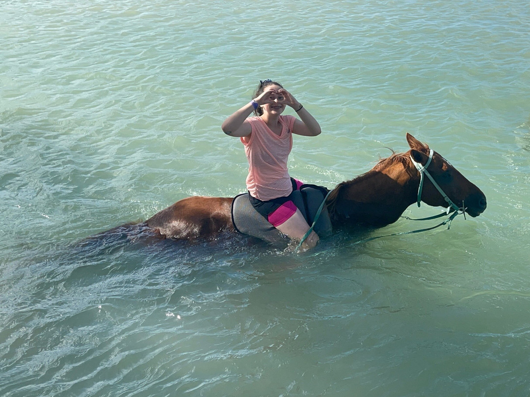 Sand n' Saddle-Rio Bueno必去景点