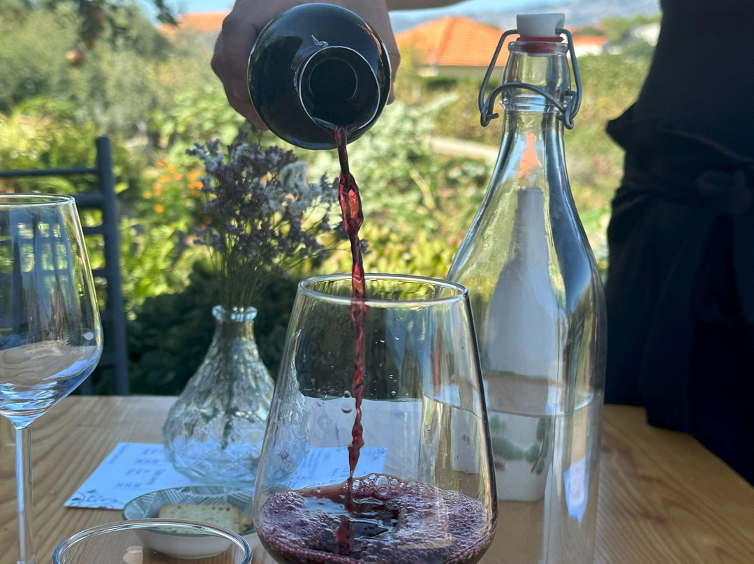 Vitis Winery景点图片