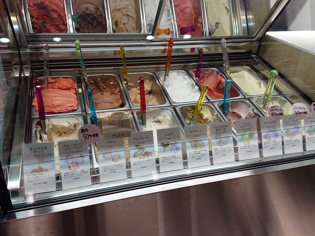 Fukasaku Farm-鉾田市必去景点