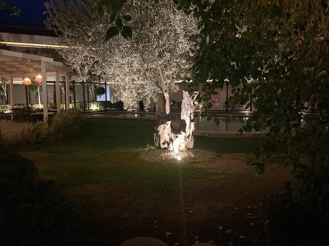 Mola Cunda Hotel主图