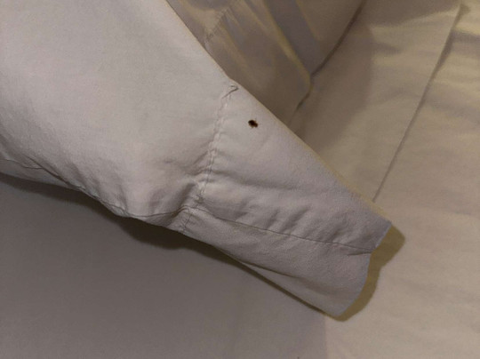 North Platte Inn & Suites主图