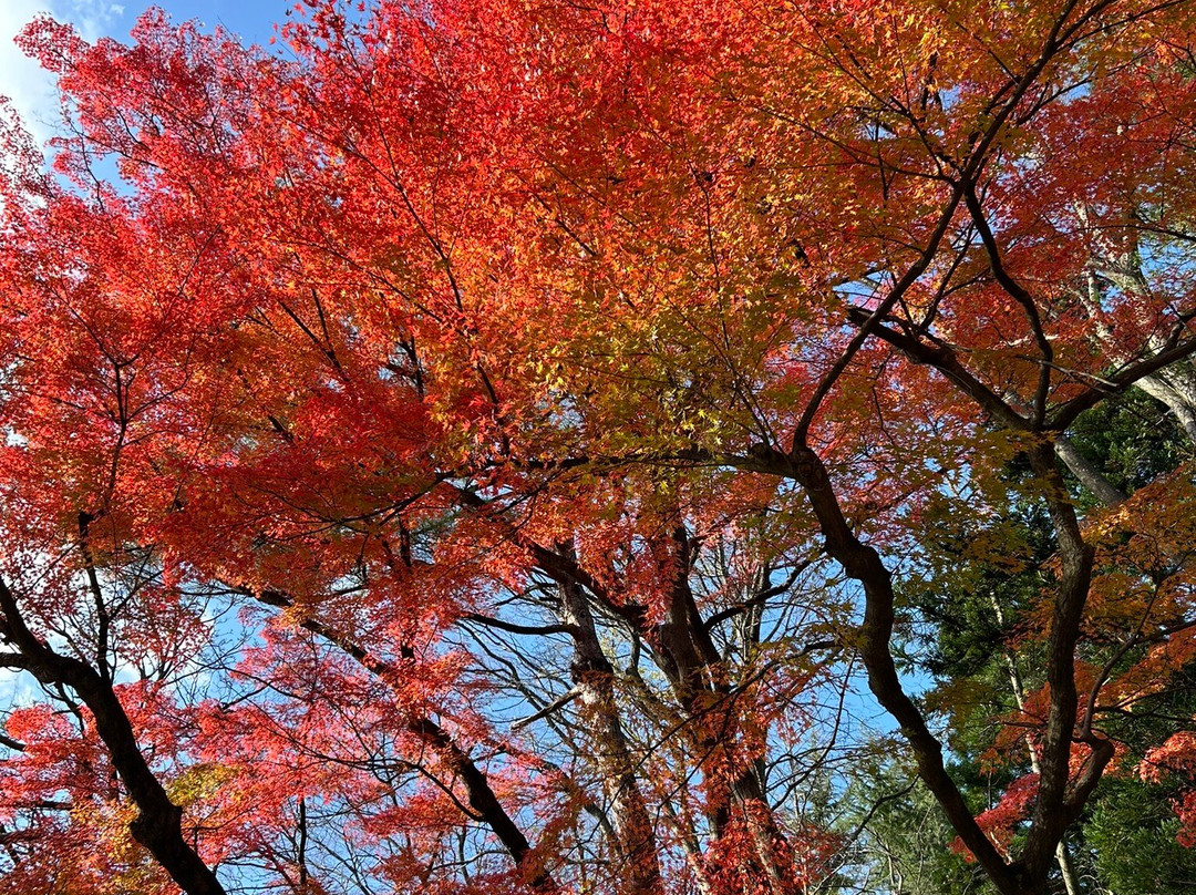 千秋公园-秋田市必去景点