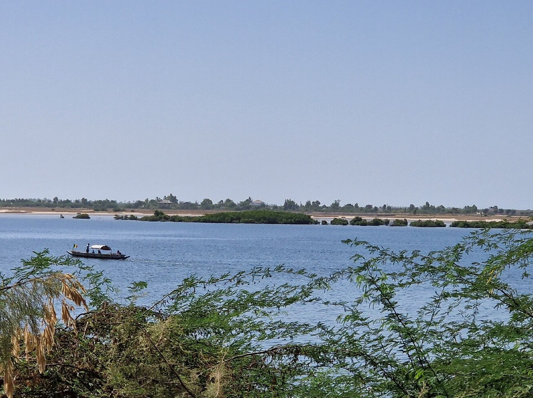 Parc National du Delta du Saloum景点图片