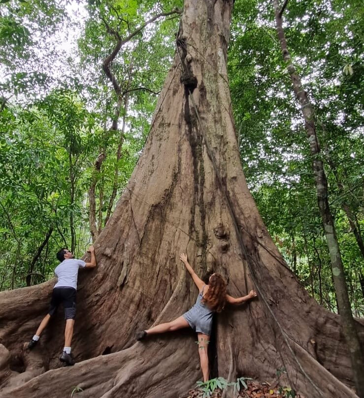 Parque Nacional de Anavilhanas景点图片