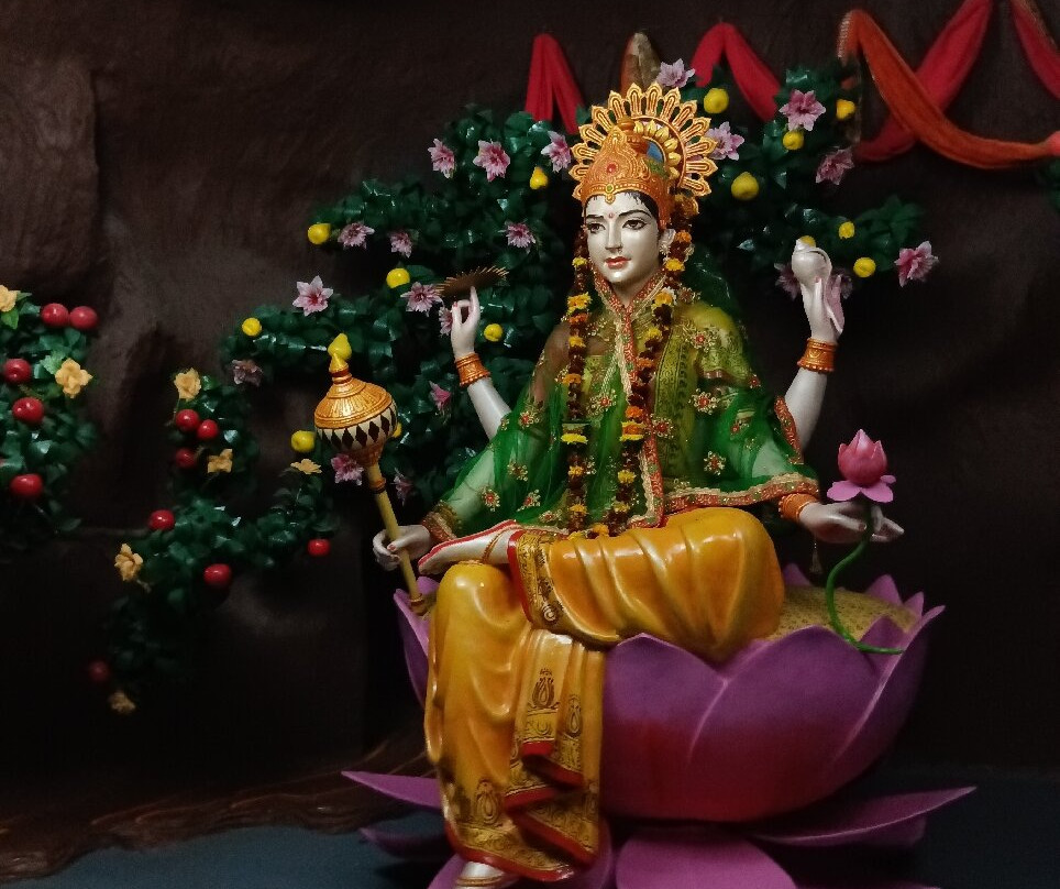 Maa Vaishno Devi Dham景点图片