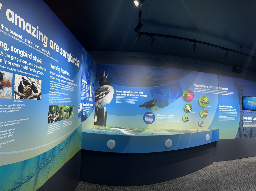 55 Million Years Ago-Murgon必去景点