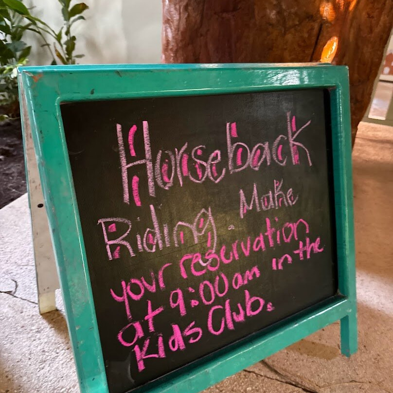 普拉亚穆吉莱斯酒店主图