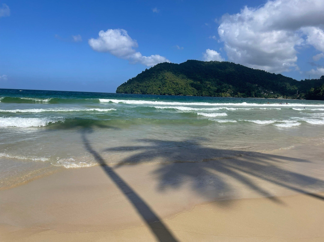 Island Experiences - Eco-Cultural Tours & Yacht Charters-西班牙港必去景点