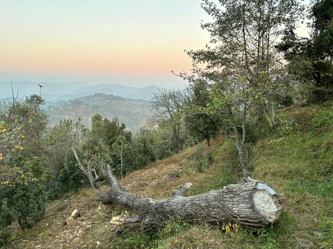 Shivoham Himalayan Resort主图