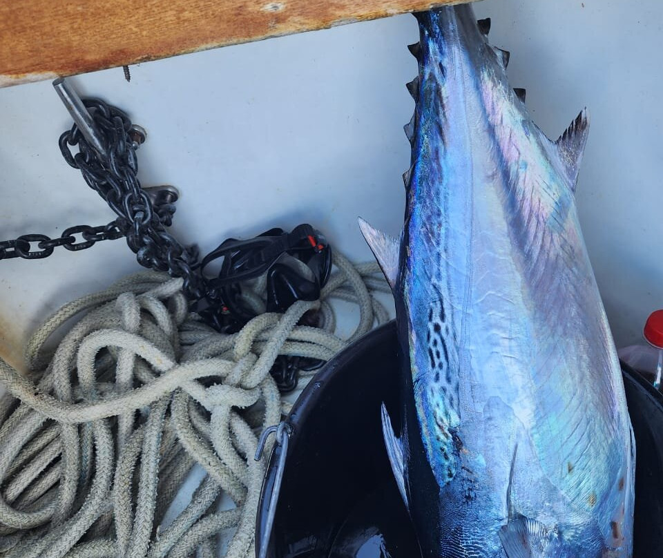 Top Catch Tobago Charters-Buccoo必去景点