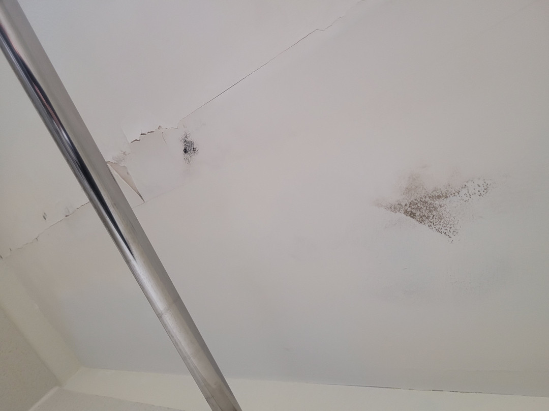 Quality Inn & Suites Athens University Area主图