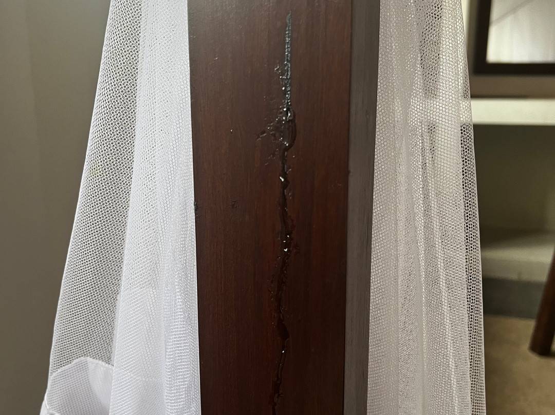 Serenity Boutique Unawatuna主图