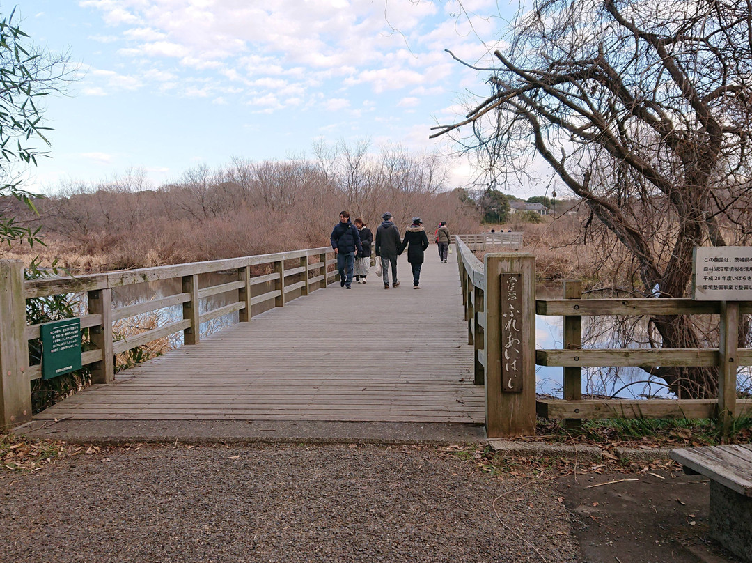 Sugaonuma-常总市必去景点