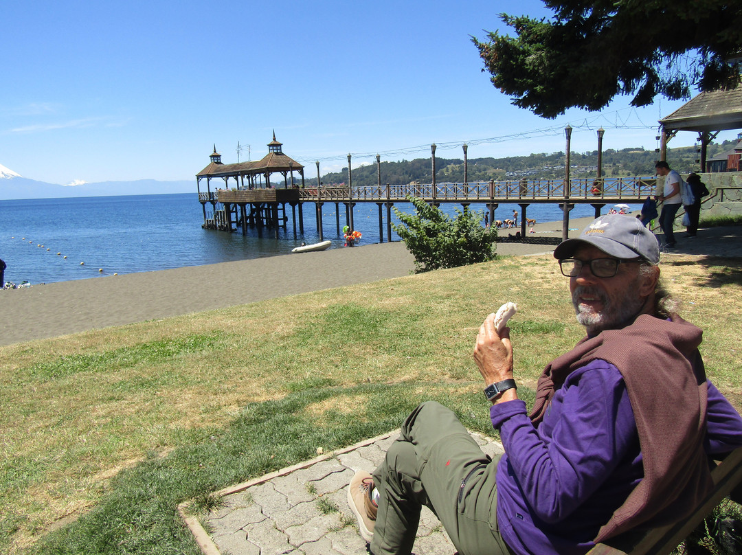 Muelle Frutillar-Frutillar必去景点