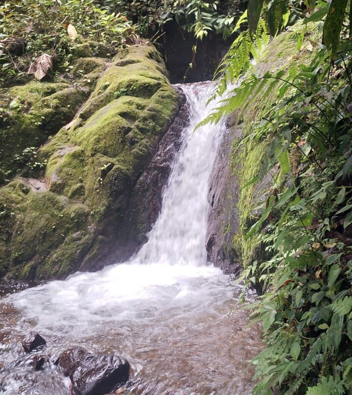 Las Montañas En Mindo-明多必去景点