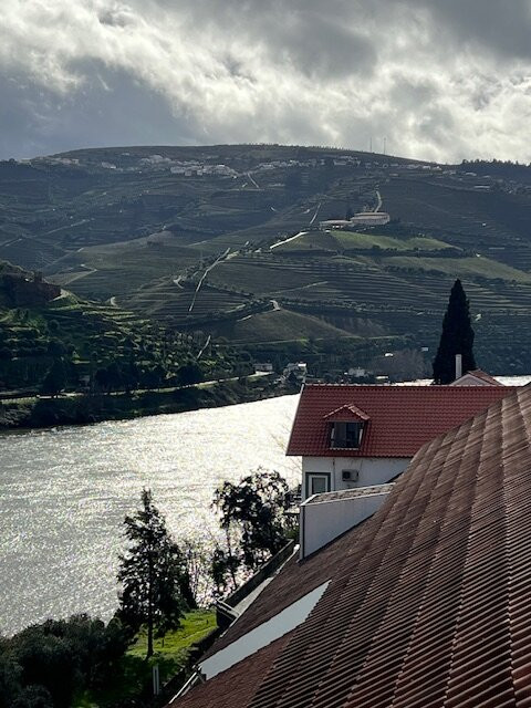 Quinta de la Rosa主图