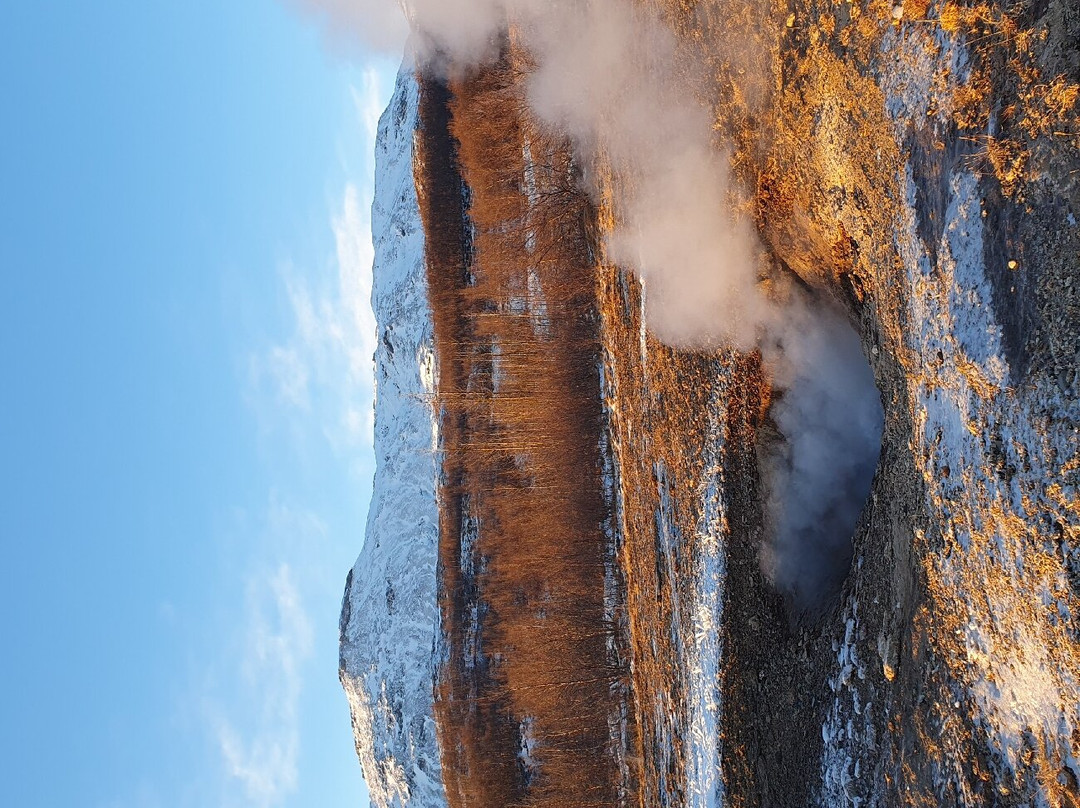 Haukadalur Geothermal Field景点图片