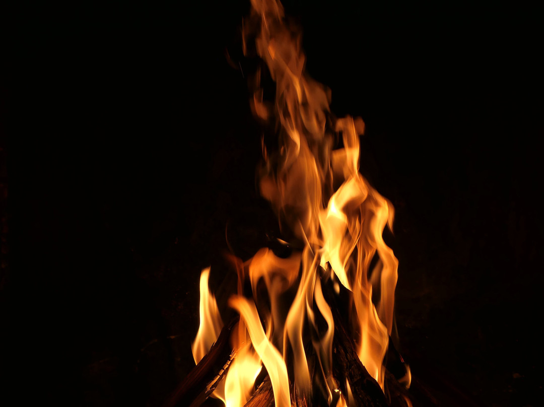 Sadaka Safaris-贝拉贝拉必去景点