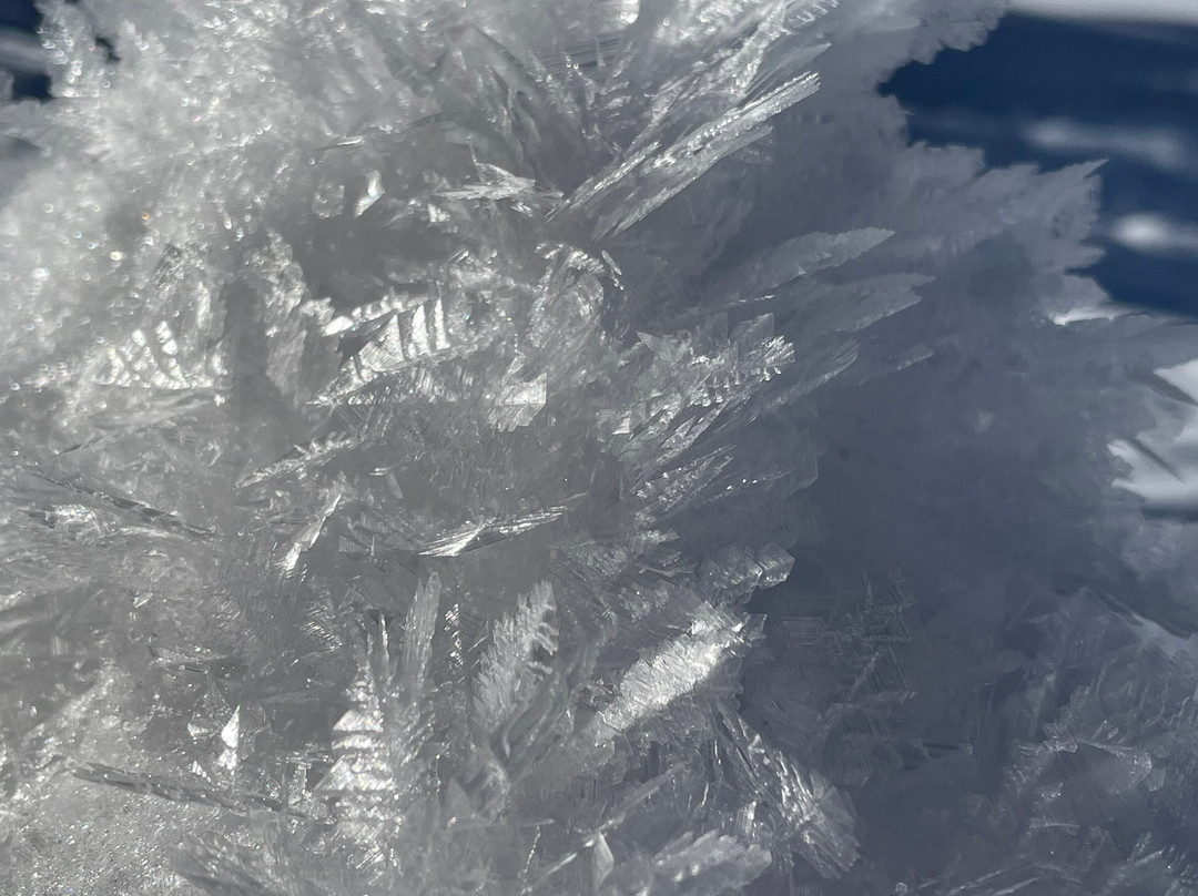 Das Bäckergut Am Haldensee主图