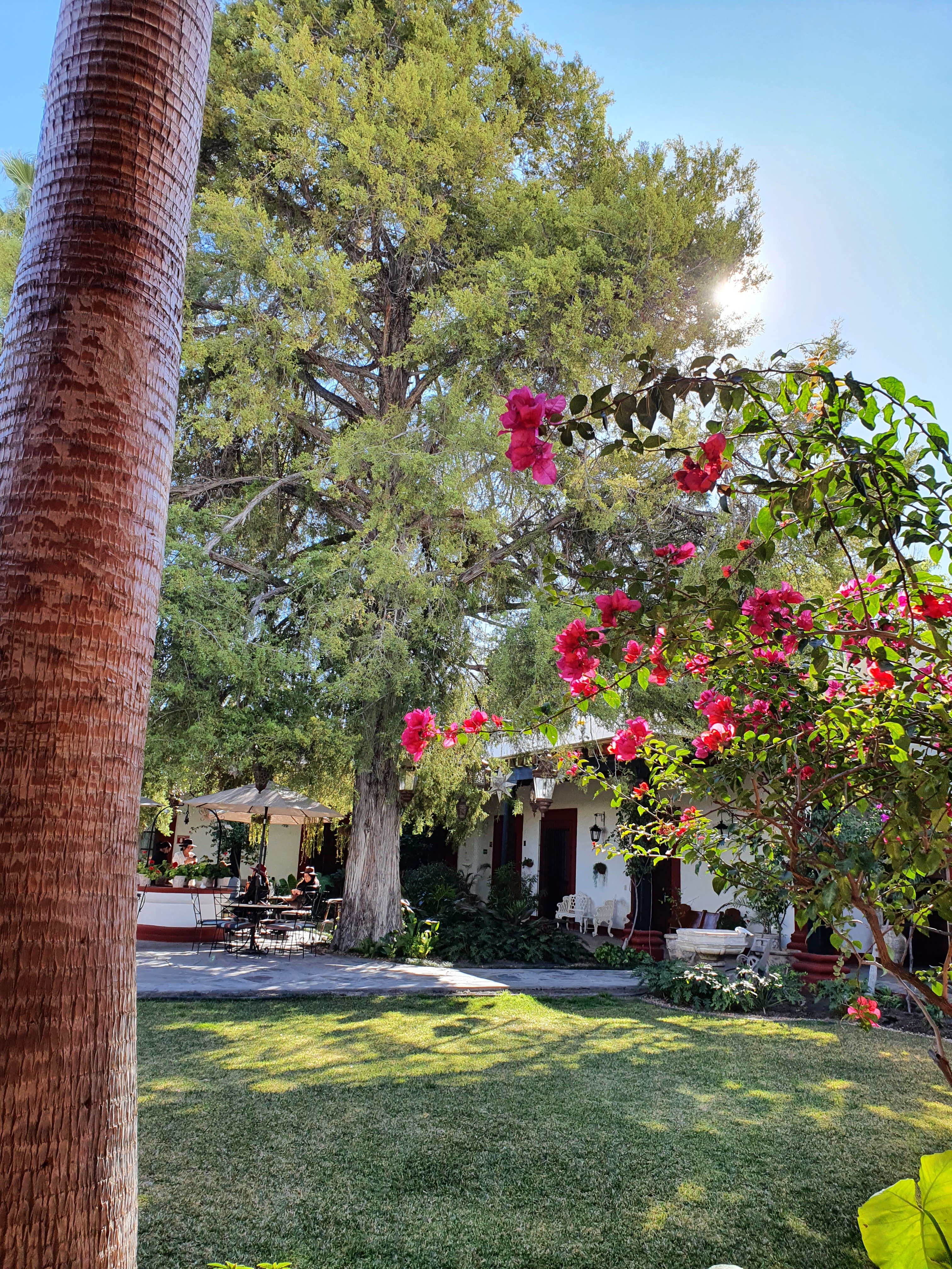 Hotel Hostal el Farol-官方