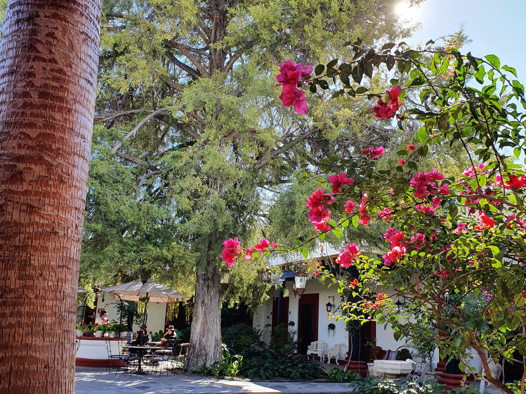 Hotel Hostal el Farol主图