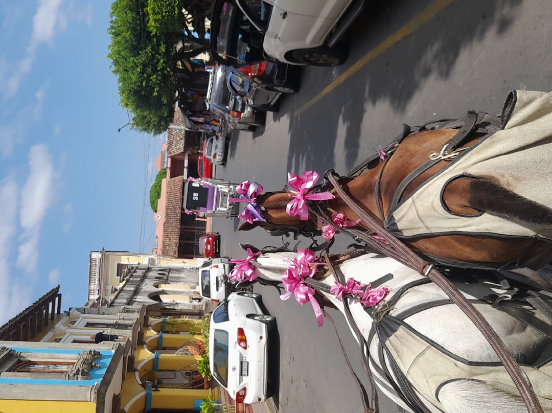 Golden Tours Costa Rica景点图片