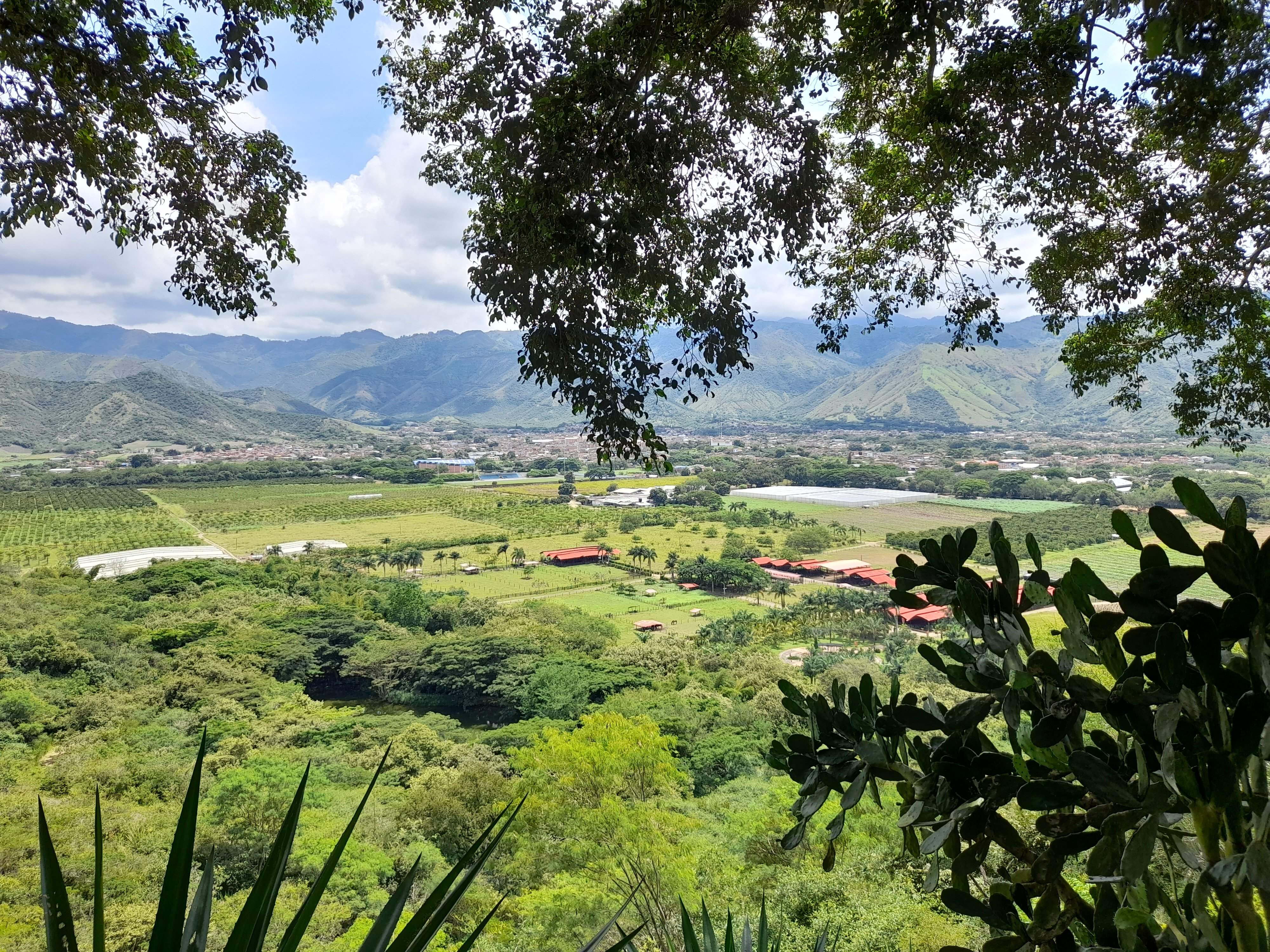 Hotel Los Vinedos-浴室