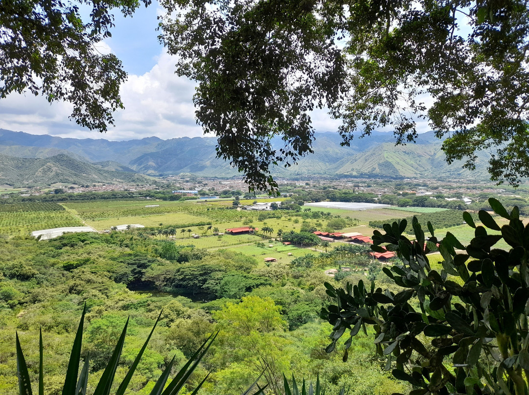 Hotel Los Vinedos主图