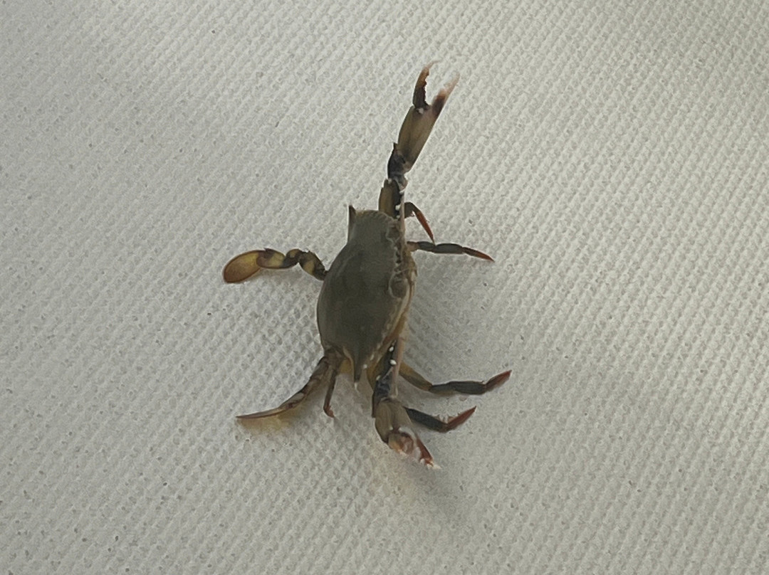 Wet Money Tours & Rentals-Cockburn Town必去景点