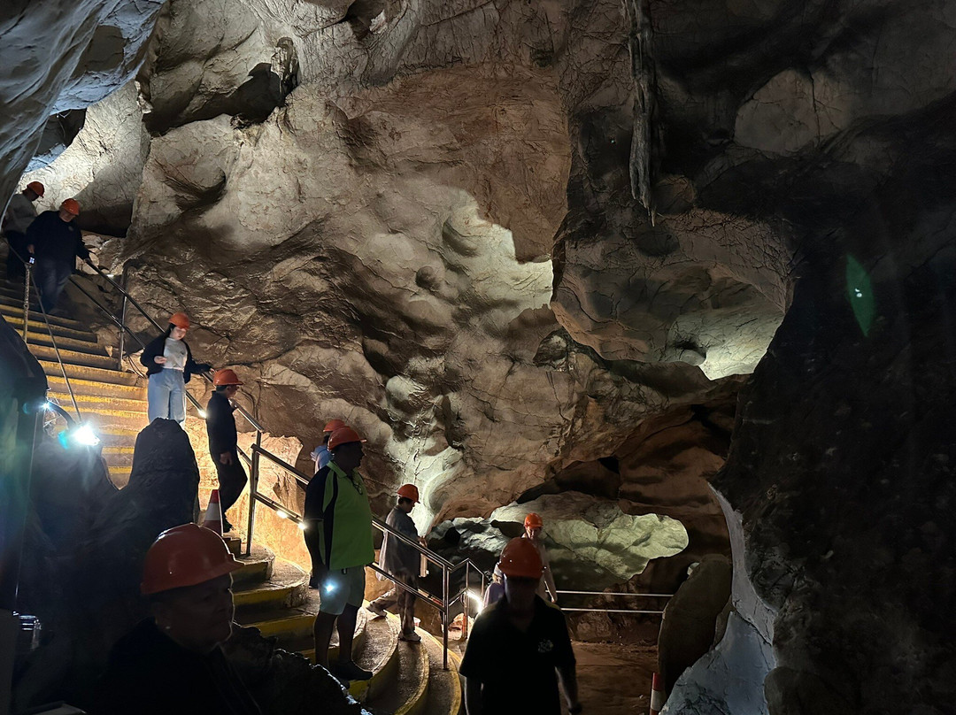 Wellington Caves & Phosphate Mine景点图片
