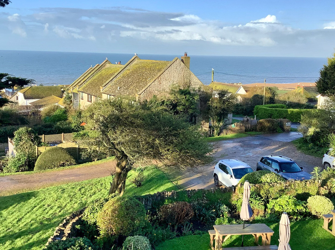 The Manor House & Hotel - West Bexington主图