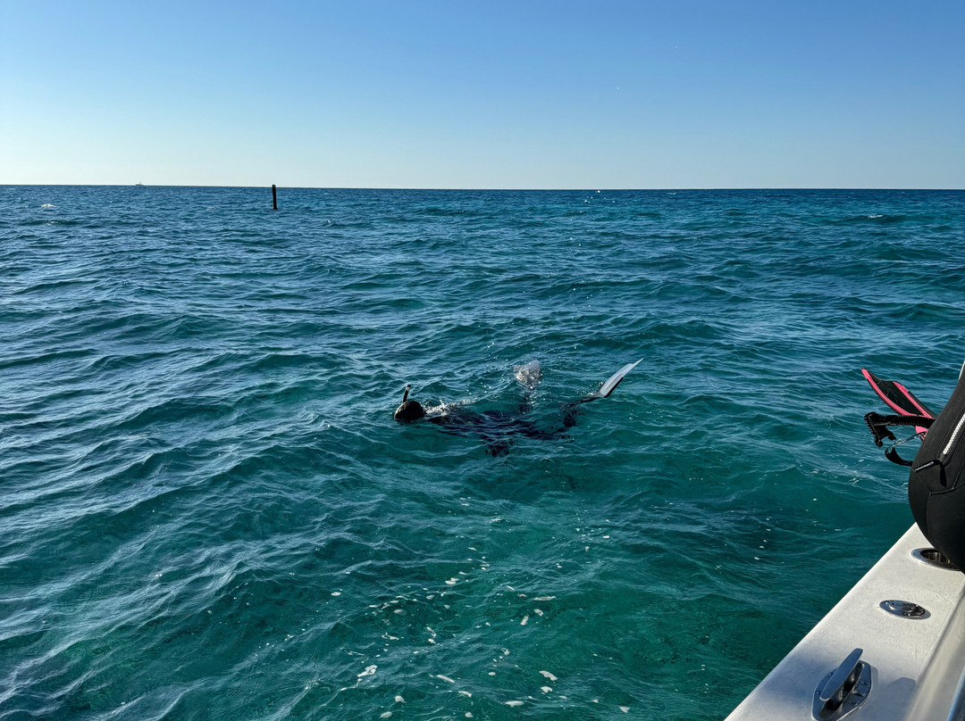 Spear It Key West-基韦斯特必去景点